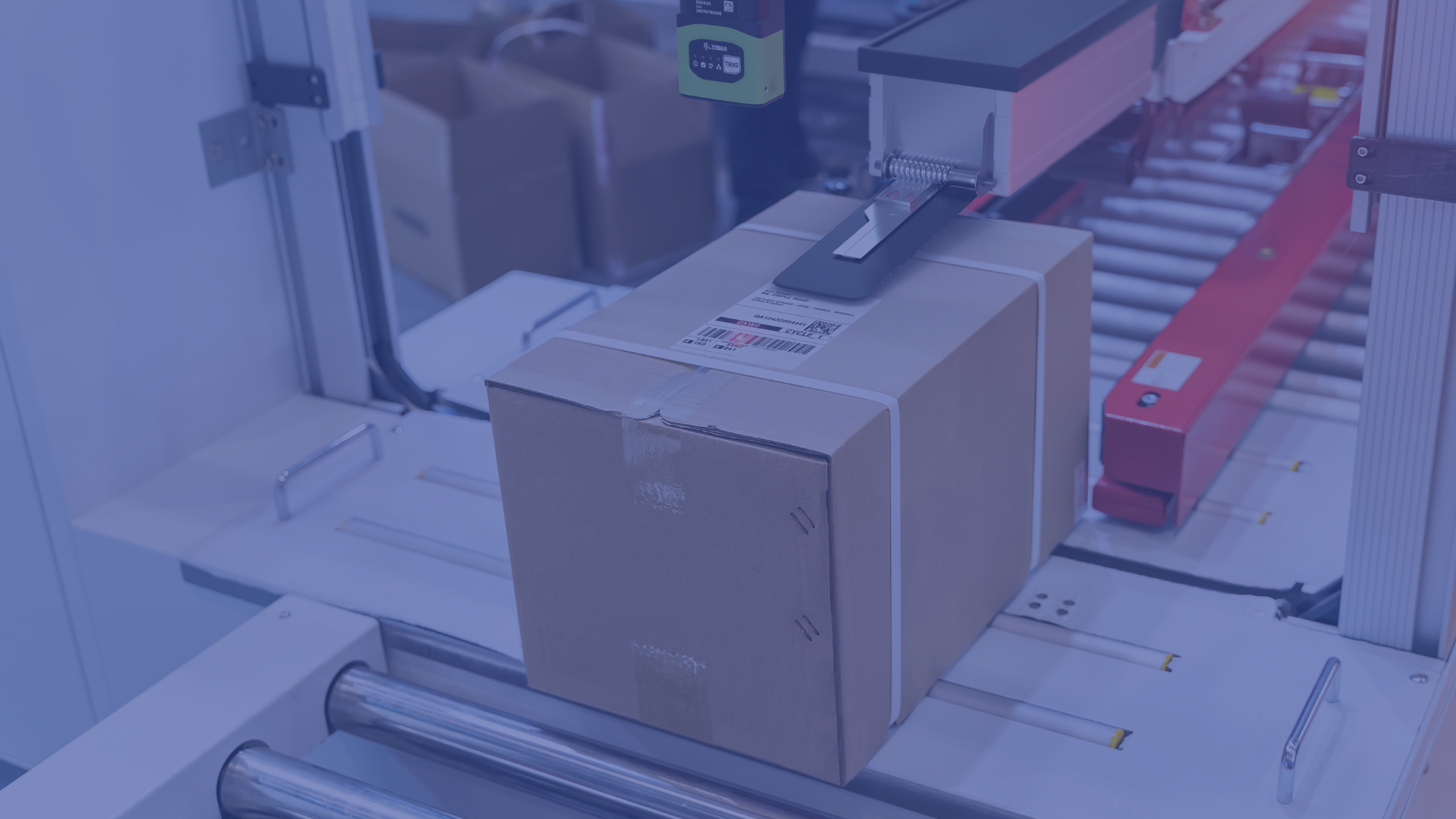 Is machine vision the key to a perfect print and apply workflow
